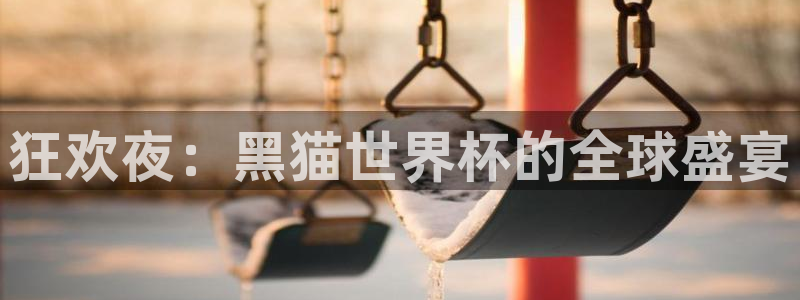 足球世界杯赛程:狂欢夜:黑猫世界杯的全球盛宴