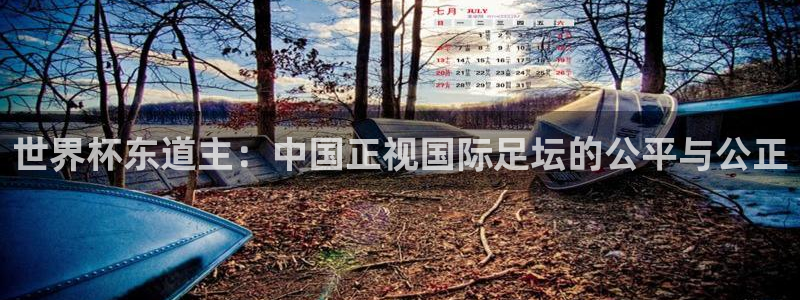 2026世界杯直播:世界杯东道主:中国正视国际足坛的公平与公正