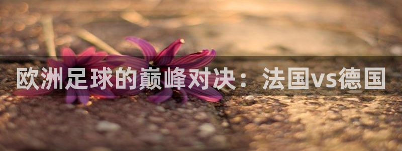 世界杯球队排名:欧洲足球的巅峰对决:法国vs德国