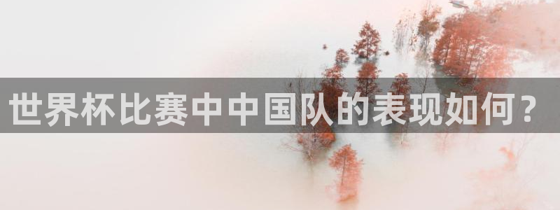 2026世界杯官网：世界杯比赛中中国队的表现如何？