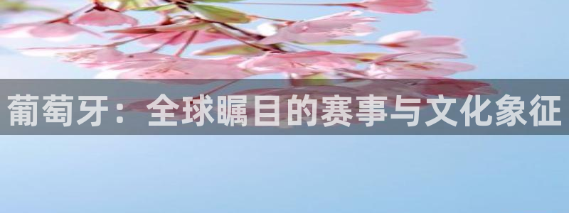世界杯系列赛：葡萄牙：全球瞩目的赛事与文化象征