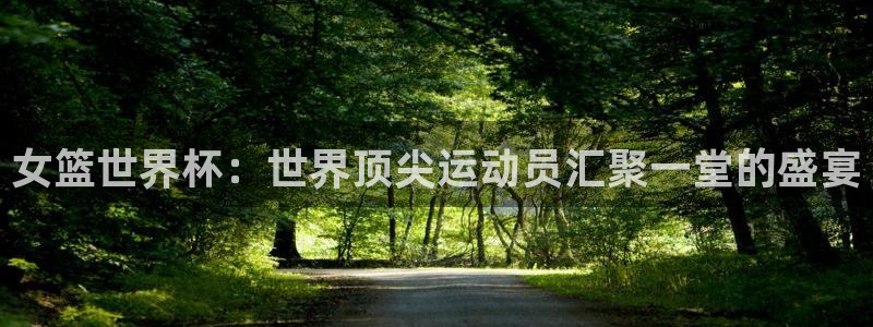 女足世界杯直播：女篮世界杯：世界顶尖运动员汇聚一堂的盛宴