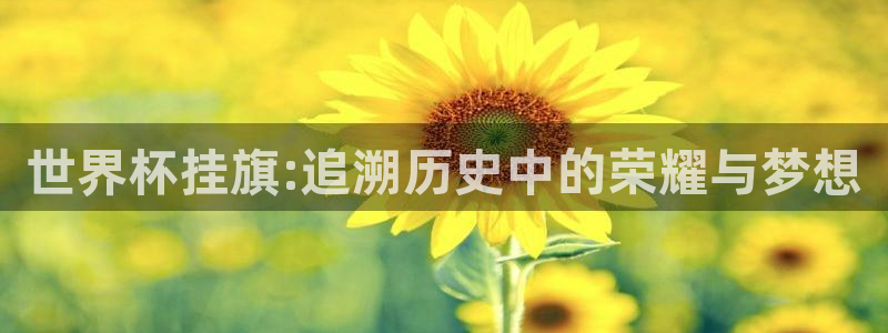 2026世界杯预选赛：世界杯挂旗:追溯历史中的荣耀与梦想