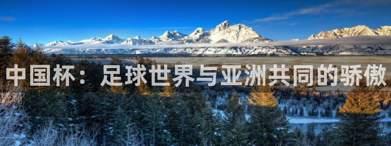 2026世界杯南美区积分榜：中国杯：足球世界与亚洲共同的骄傲